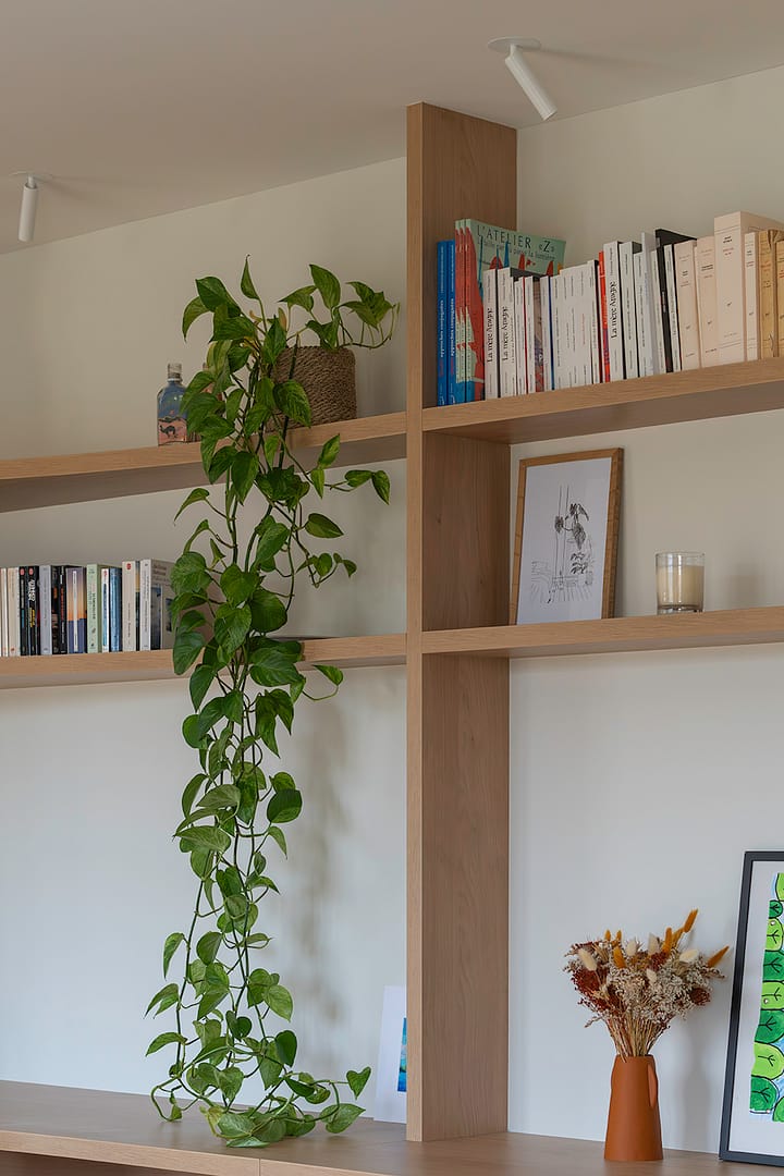 salon-étagère-bibliothèque-luminaire-spot-saillie